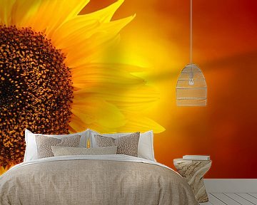 fiery sunflower by Dennis Carette