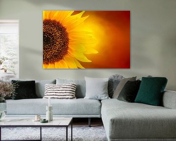 feurige Sonnenblume von Dennis Carette