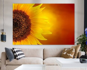 fiery sunflower by Dennis Carette