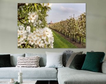 Bloesem in fruitboomgaard van Moetwil en van Dijk - Fotografie