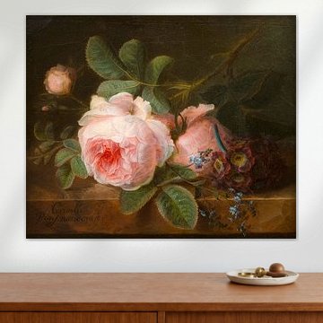 Cabbage rose, Cornelis van Spaendonck