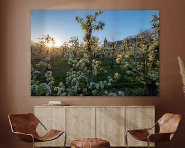 Kerk tussen fruitboomgaard van Moetwil en van Dijk - Fotografie