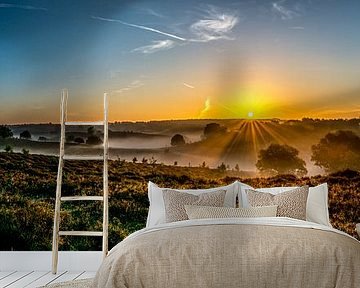 Posbank panorama by Douwe van der Leij