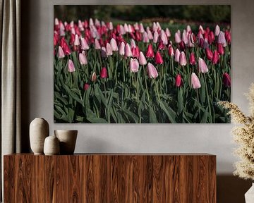 Roze en paarse tulpen van Egon Zitter