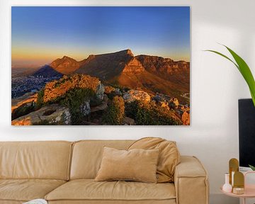 cape town panorama lions head