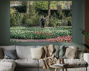 Tulip fields on the Keukenhof by Egon Zitter