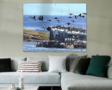 cape point landscape