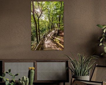 Sentier forestier sur l'île de Møn au Danemark sur Werner Dieterich