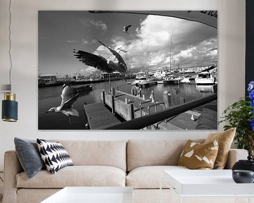 waterfront cape town