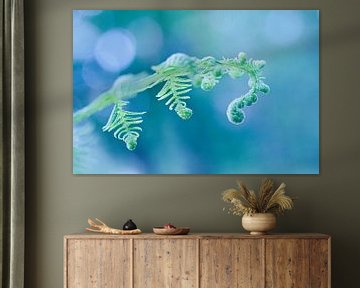 Mystical Fern by Halma Fotografie