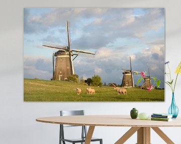 Schafe und drei Windmühlen unter einem bewölkten Himmel von iPics Photography