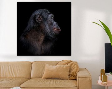 Bonobo zijkant profiel foto van Ron Meijer Photo-Art