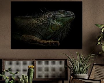 Little Godzilla van Ron Meijer Photo-Art