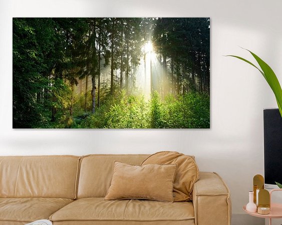 Aperçu de la chambre