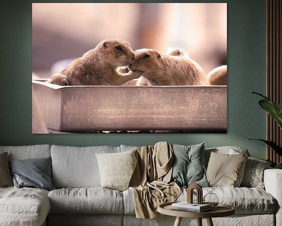 Aperçu de la chambre