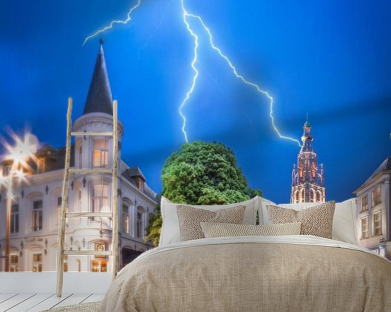 Aperçu de la chambre