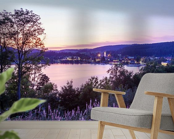 Aperçu de la chambre