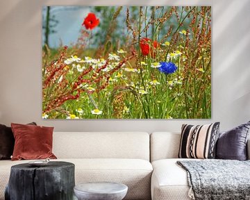 Wild flower meadow by Jeroen van Deel