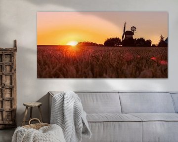 Country life romance old windmill in the sunset by Tanja Riedel