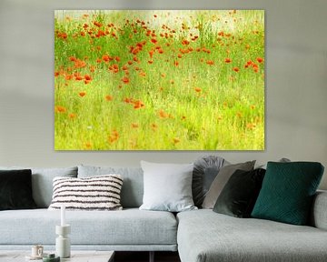 Poppies in the style of Monet by Birgitte Bergman