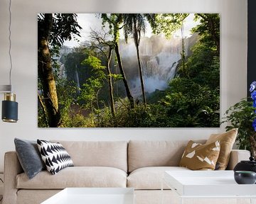 Iguazu watervallen van Catherine Blancquaert