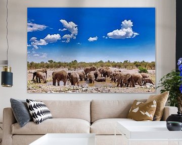 Elephants paradise, Namibia van W. Woyke