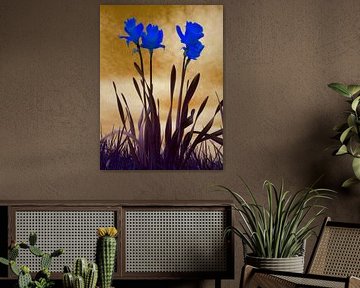 Bleu trompette narcisses