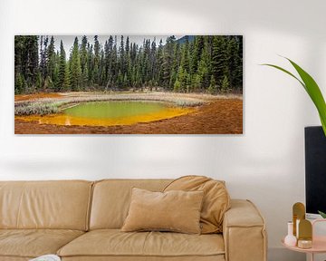 Einer der Paint Pots in Kootenay National Park, Kanada von Rietje Bulthuis