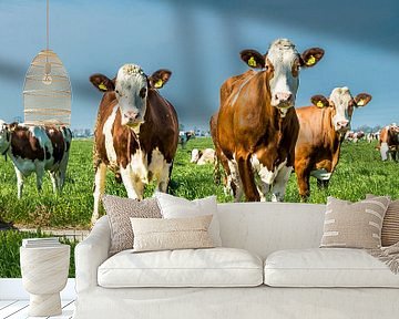Nieuwsgierige koeien van Danny den Breejen
