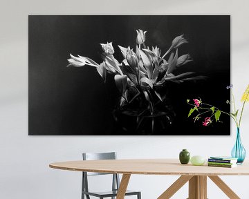 Tulpen in zwartwit van Janny Kanters