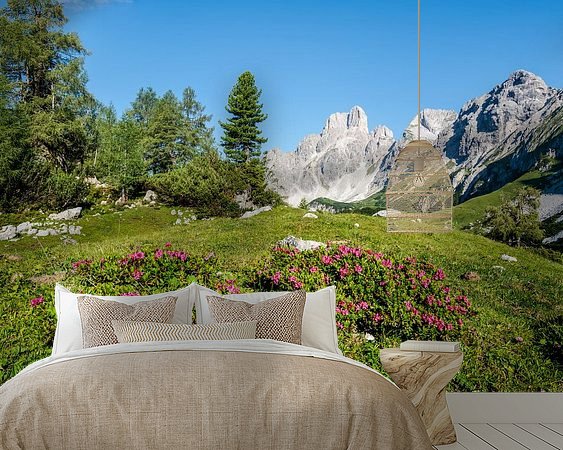 Aperçu de la chambre