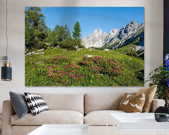 Aperçu de la chambre