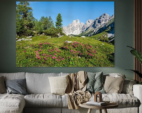 Aperçu de la chambre