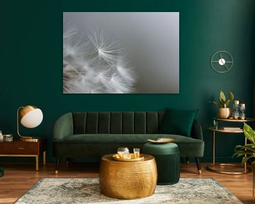 minimalistische pluis paardenbloem van Emajeur Fotografie