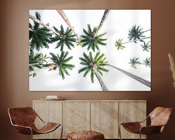 Palmbomen in de Botanische tuinen van Rio de Janeiro van Kaj Hendriks