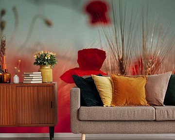 Poppy by Julia Delgado