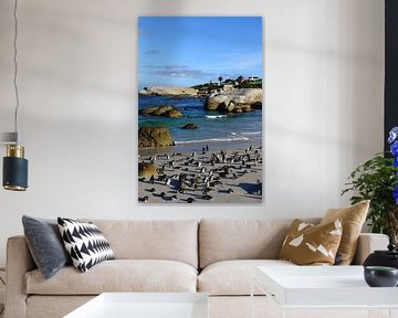 Kapstadt Boulders Bay