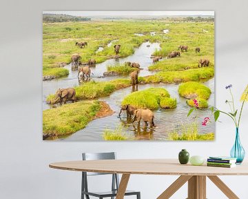 Grote olifantekudde in het landschap
