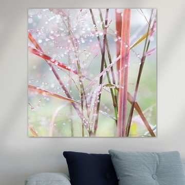 STILBILDENDES GRAS AUF DER WAND