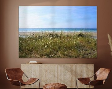 Duinlandschap met zeegras aan een strand in Bretagne Frankrijk van Sandra van der Burg