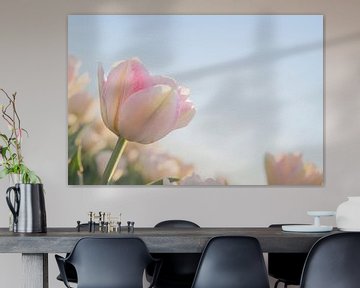 Nederlandse tulpen in pastel van Pauline Aalfs