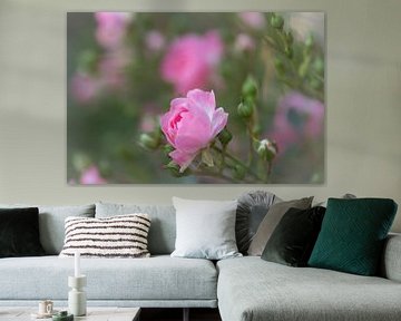zacht roze roosje van Tania Perneel