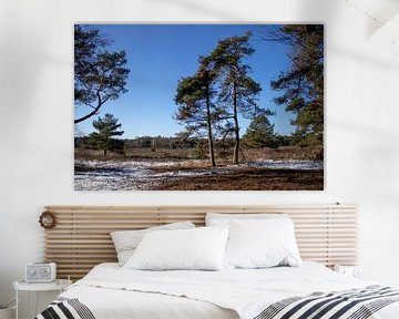 Two trees in the Needse Achterveld in winter with snow by Rezona