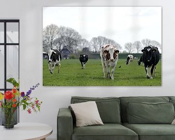 Koeien in de wei van Kiezel Fotografie