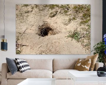 Rabbit hole in a sandy dune by Rezona