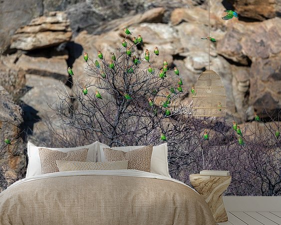 Aperçu de la chambre