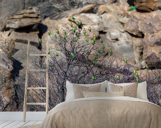 Aperçu de la chambre