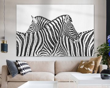 Zebra von Felix Brönnimann