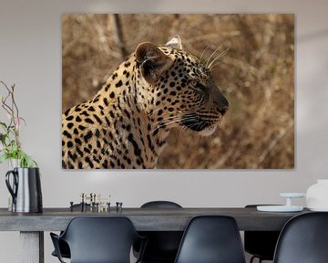 Leopard Südafrika von Ralph van Leuveren