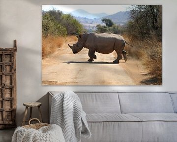 Rhinocéros Afrique du Sud sur Ralph van Leuveren
